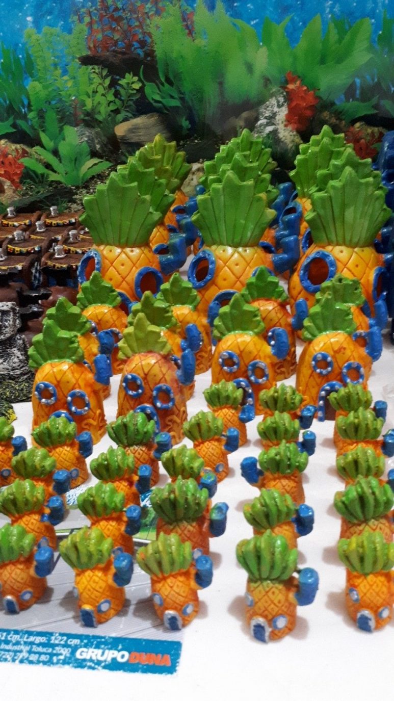 Happy Can tienda para mascotas 4